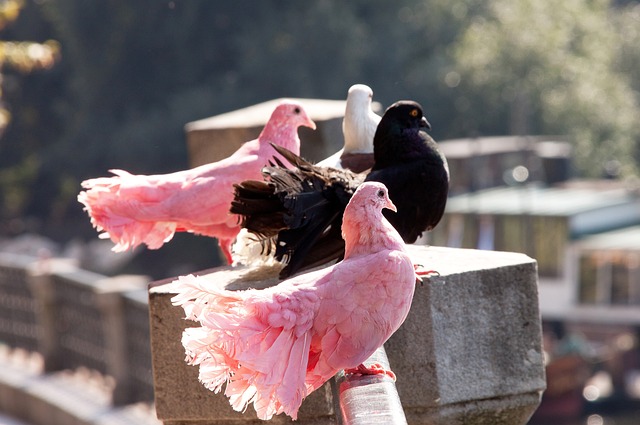 稳定得分能 稳定得分能
