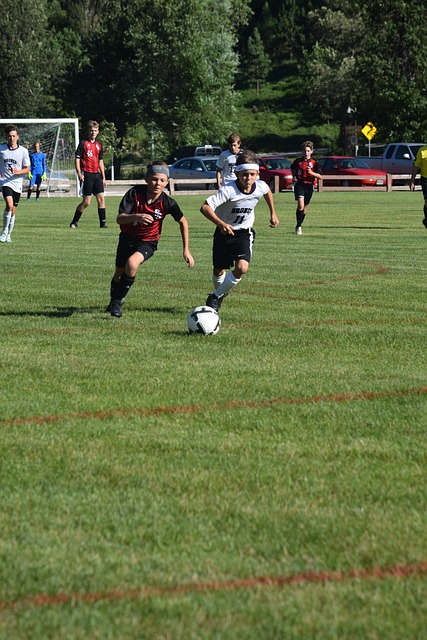 还能从中发 还能从中发