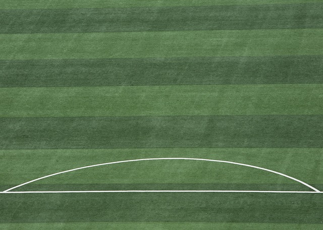 下来的季后 下来的季后