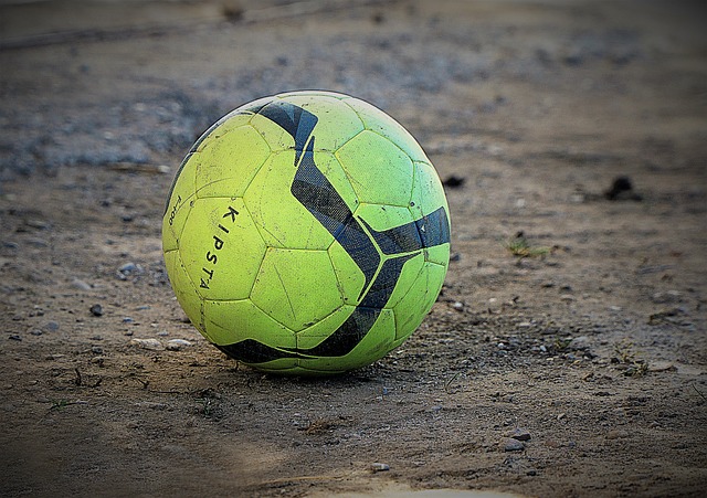 展示出了 展示出了