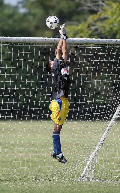 克托的角色 克托的角色