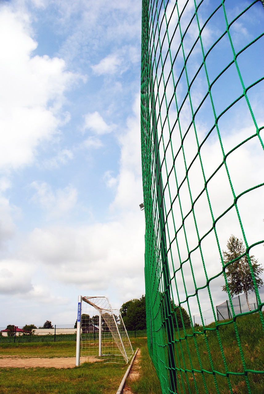 忠实粉丝 忠实粉丝