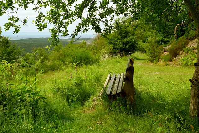 成为比赛胜 成为比赛胜