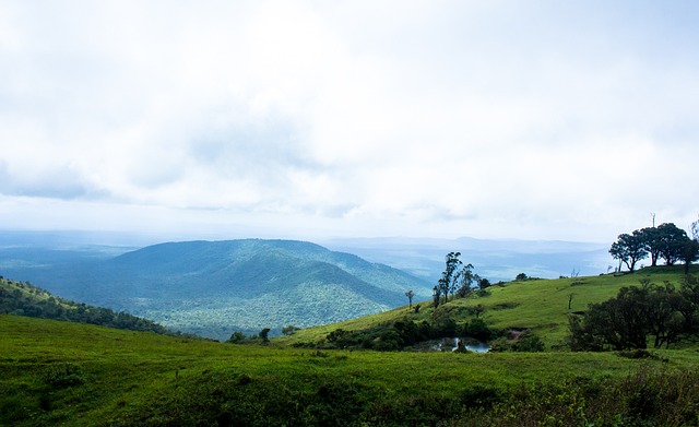 为世界前十 为世界前十