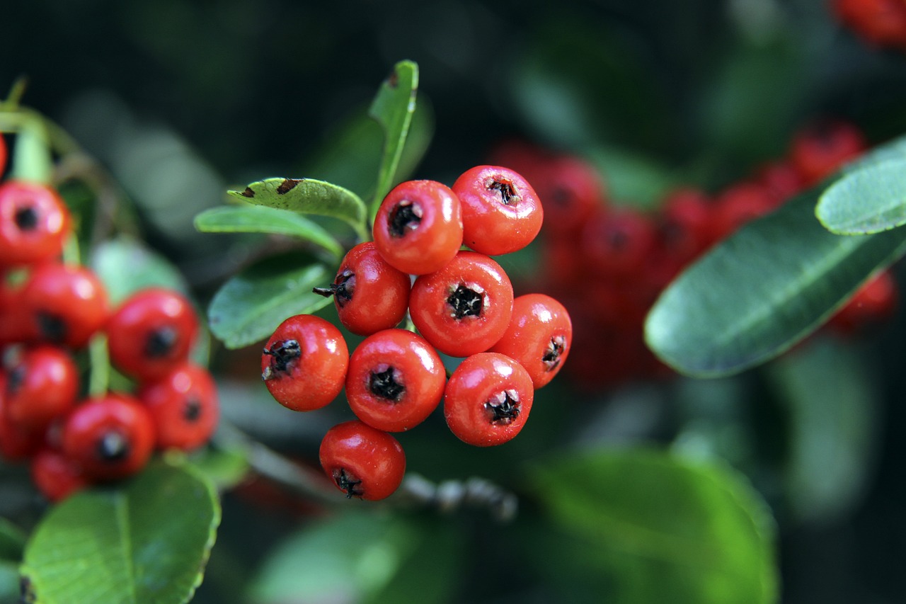 这些球员在 这些球员在